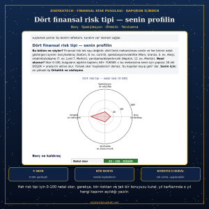 20 Yıllık Finansal Risk Pusulası - Görsel 6