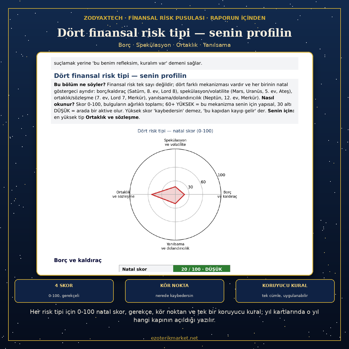 20 Yıllık Finansal Risk Pusulası - Görsel 6